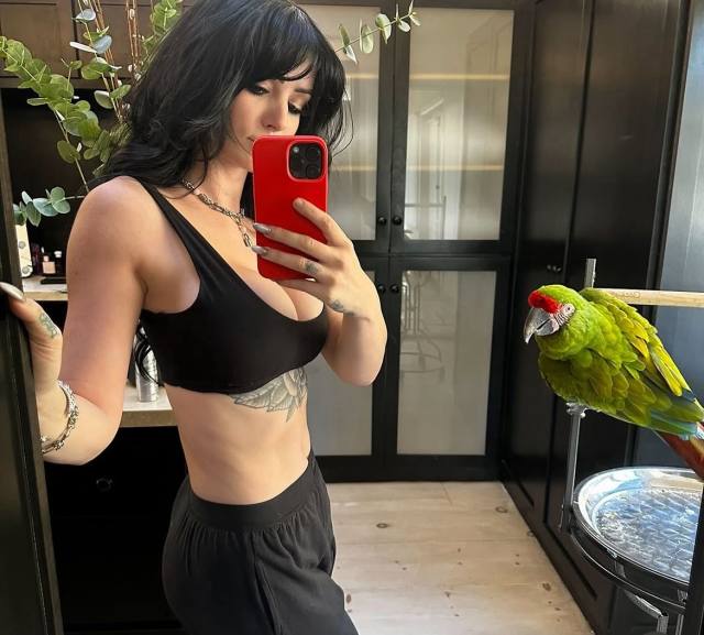 I’m a wrestler. I’m Paige