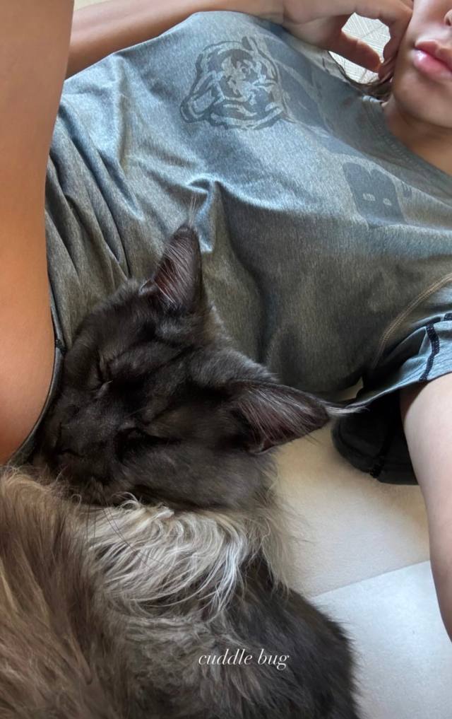 "29,Young-Looking & Open To Something Real-Let's Start With A Conversation"