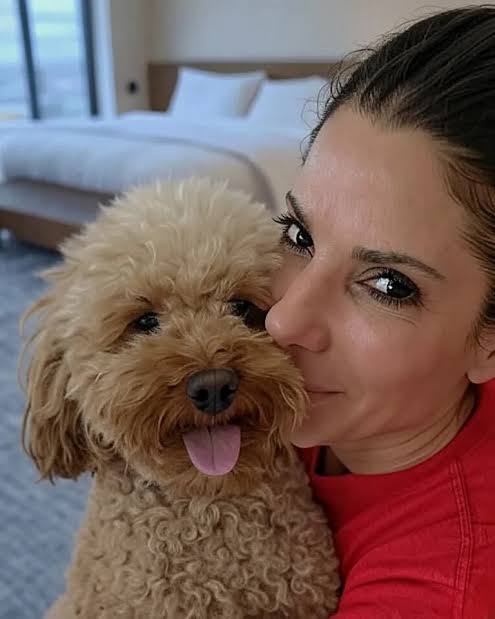 SERIOUS RELATIONSHIP