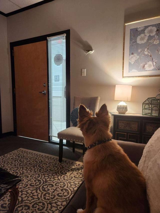 Massage Therapist Kerri