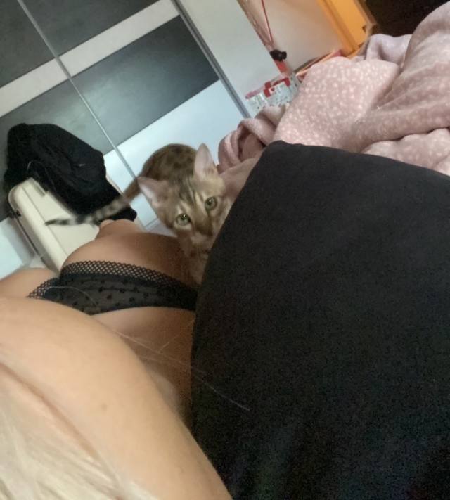 NO PAYMENT INVOLVED- I'm a SEXY SINGLE MOM AVAILABLE FOR MEET AND F##K AS LONG AS YOU KNOW HOW TO USE